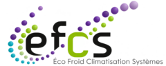 EFCS